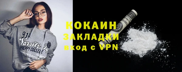 прущий лед Ельня