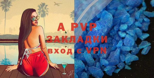 прущие грибы Артём