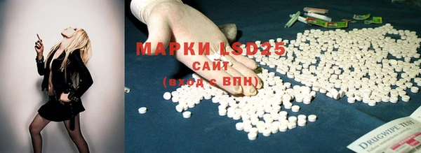 хмурый Елабуга